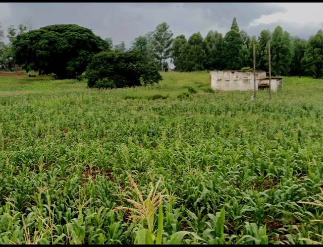 2.80HA VACANT LAND FOR SALE IN LEVUBU